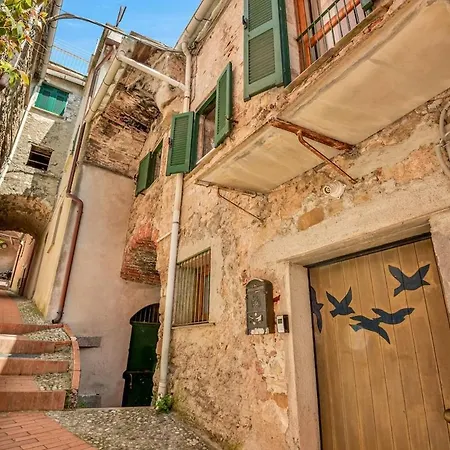 Lacollina Mountain View